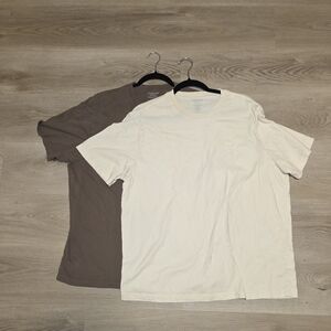 American Eagle Outfitters Cream and Brown Short Sleeve Tees